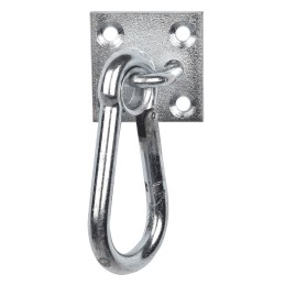 Carabiner Hook on Wall Plate